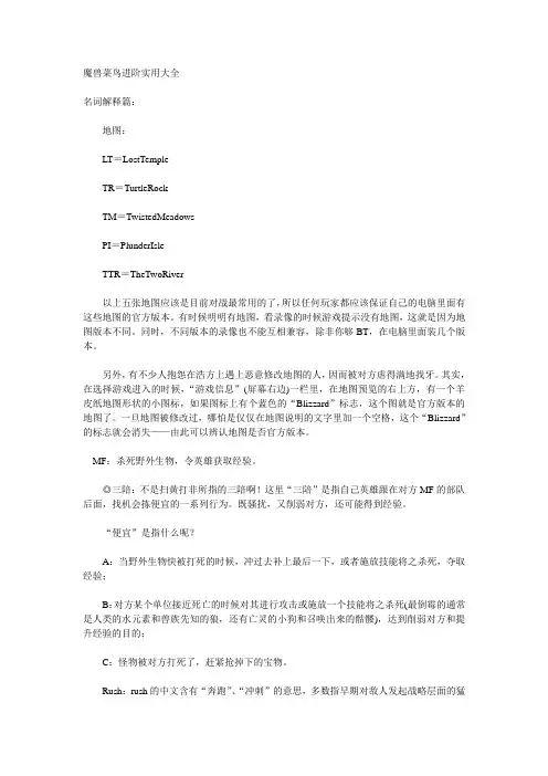 魔兽菜鸟进阶实用大全