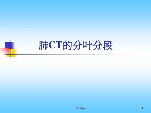肺分叶分段