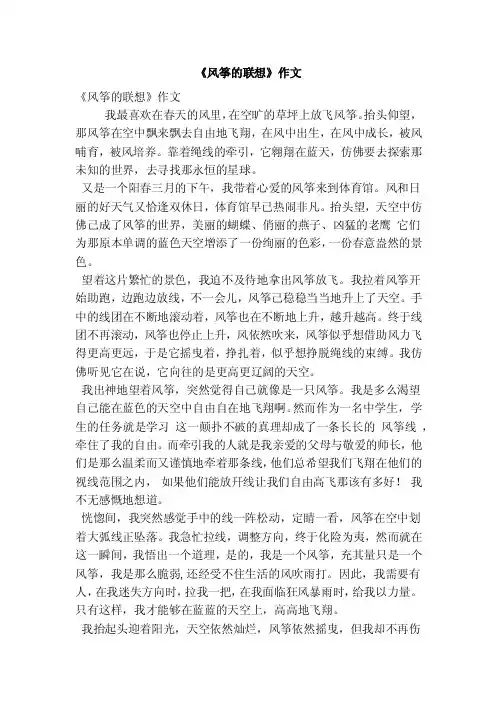 《风筝的联想》作文（精简篇）