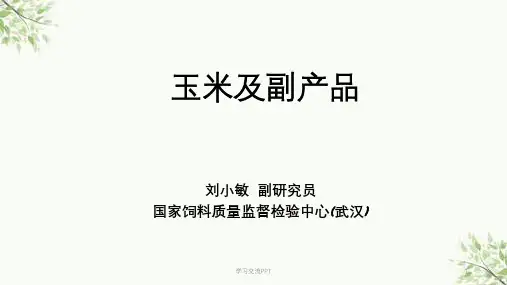 玉米及副产品质量控制课件