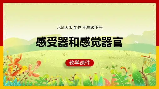 初中生物北师大版七年级下册《第4单元第12章第2节感受器和感觉器官》课件