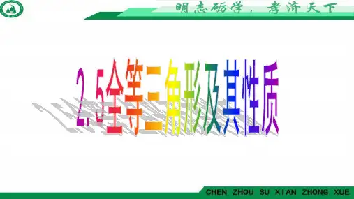 湘教版八年级上册 2.5 全等三角形及其性质 课件(共16张PPT)