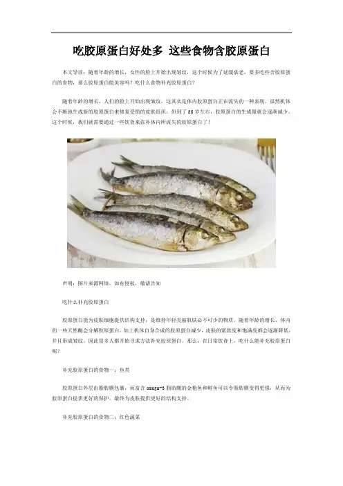 吃胶原蛋白好处这些食物含胶原蛋白