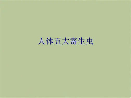 人体五大寄生虫(共4张PPT)