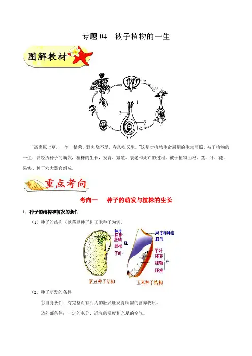 专题04 被子植物的一生-备战2018年中考河南生物识图题之专项提分(原卷版)