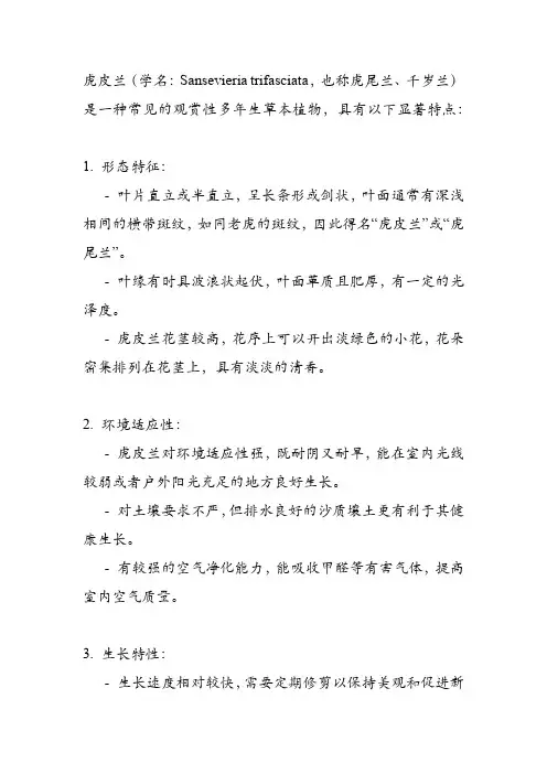 介绍虎皮兰植物的特点