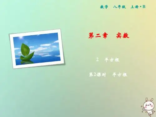 北师大版八年级数学上册第2章实数2平方根第2课时平方根 