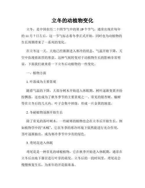 立冬的动植物变化