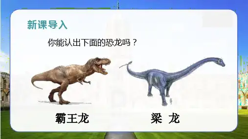 新人教部编版四年级语文下册《6.飞向蓝天的恐龙》精品教学课件
