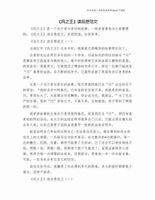 《风之王》读后感范文.doc