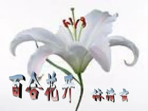 七年级语文百合花开