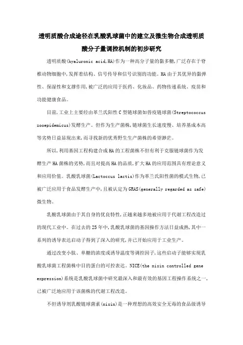 透明质酸合成途径在乳酸乳球菌中的建立及微生物合成透明质酸分子量调控机制的初步研究