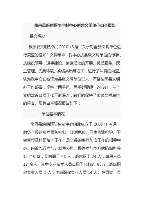 自检自查报告 4