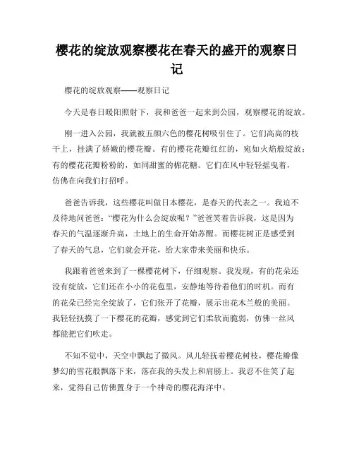 小学三年级作文樱花的绽放观察樱花在春天的盛开的观察日记