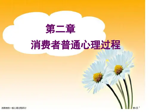 消费者的一般心理过程研讨