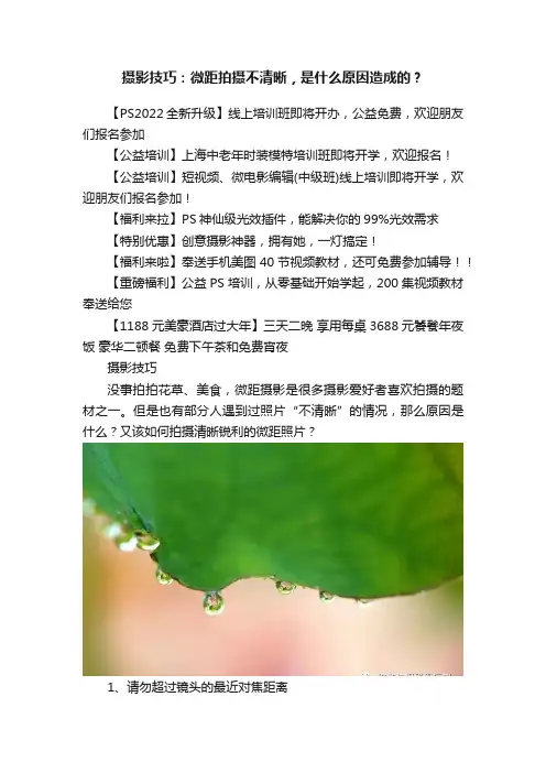 摄影技巧：微距拍摄不清晰，是什么原因造成的？