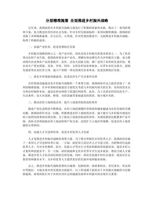 分层精准施策 全面推进乡村振兴战略