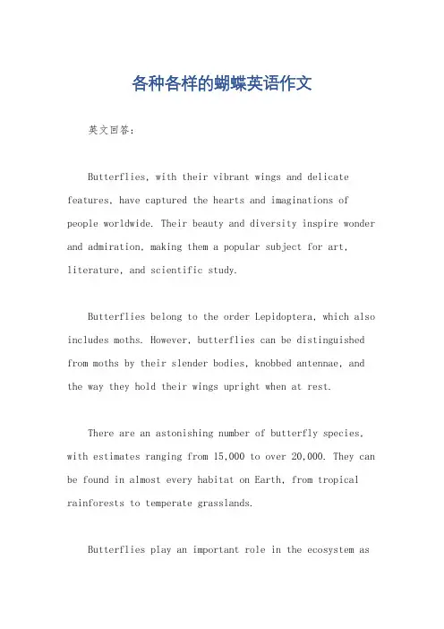 各种各样的蝴蝶英语作文