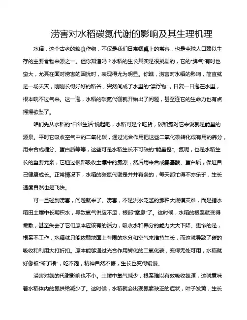 涝害对水稻碳氮代谢的影响及其生理机理