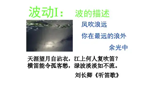 高二物理竞赛课件：波动I——波的描述