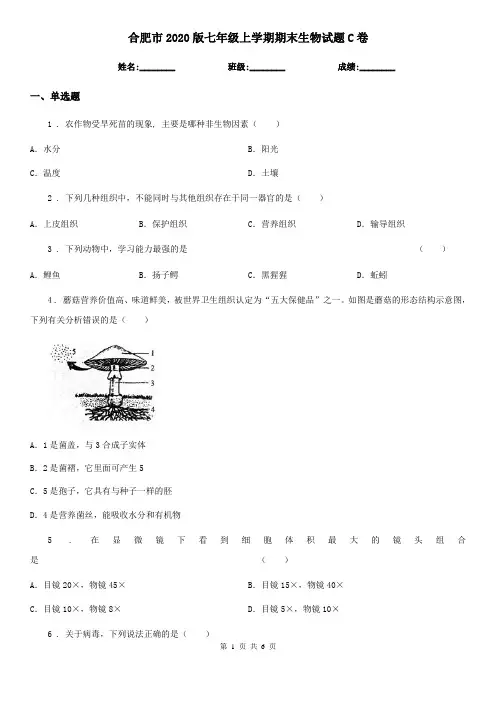 合肥市2020版七年级上学期期末生物试题C卷