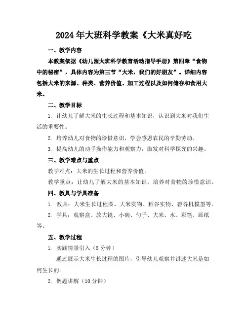2024年大班科学教案《大米真好吃