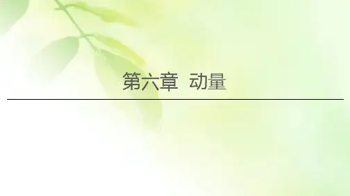 2021届山东新高考物理一轮复习课件：第6章 第1节 动量和动量定理