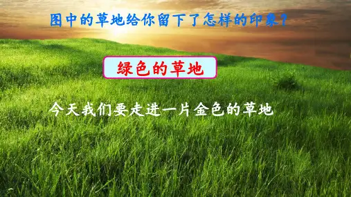 16 金色的草地 课件PPT