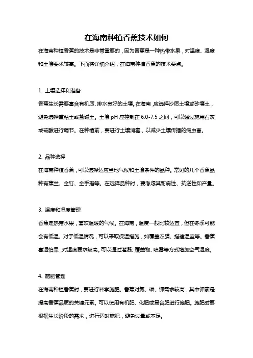 在海南种植香蕉技术如何