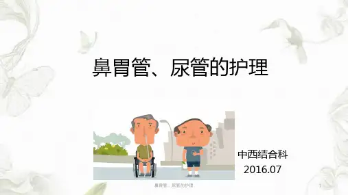 鼻胃管、尿管的护理ppt课件
