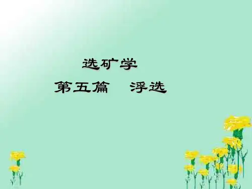选矿学课件——浮选药剂