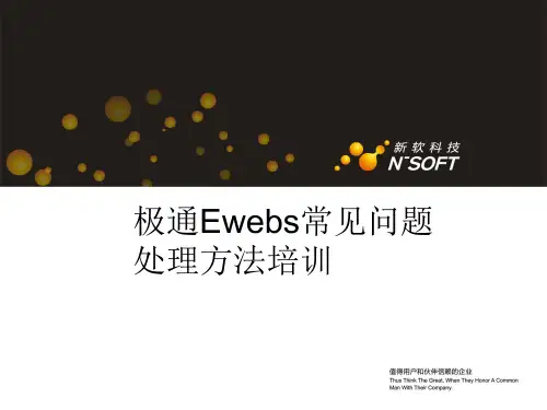 新软极通EWEBS常见问题PPT