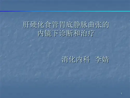 肝硬化食道胃底静脉曲张的内镜治疗PPT课件