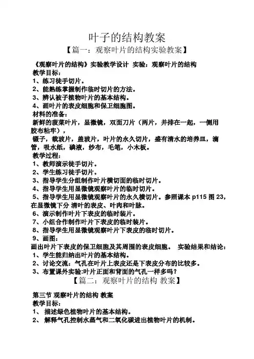 叶子的结构教案