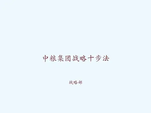 中粮集团战略十步法 ppt课件