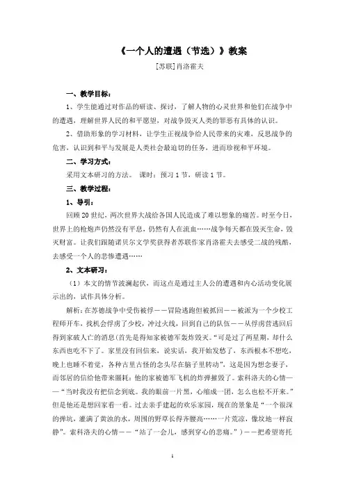 高中语文《一个人的遭遇(节选)》教案