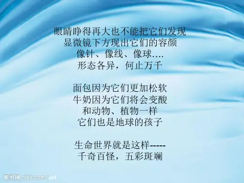 水滴里的微生物PPT课件