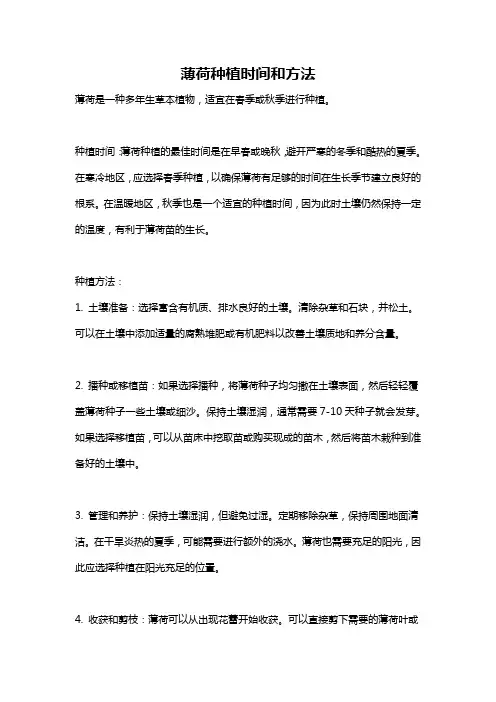 薄荷种植时间和方法