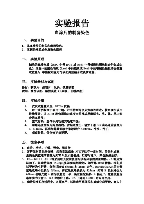 实验报告