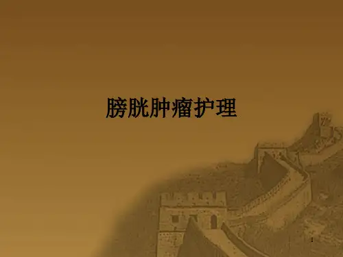 膀胱肿瘤护理PPT课件