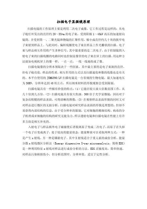 扫描电子显微镜原理
