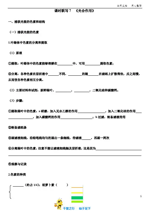 高中生物选修3知识点默写训练卷：7-光合作用附答案