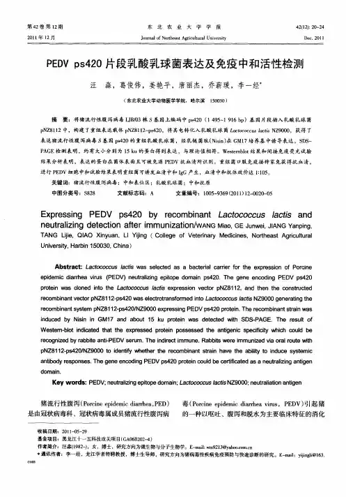PEDVps420片段乳酸乳球菌表达及免疫中和活性检测
