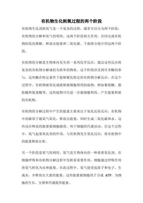 有机物生化耗氧过程的两个阶段