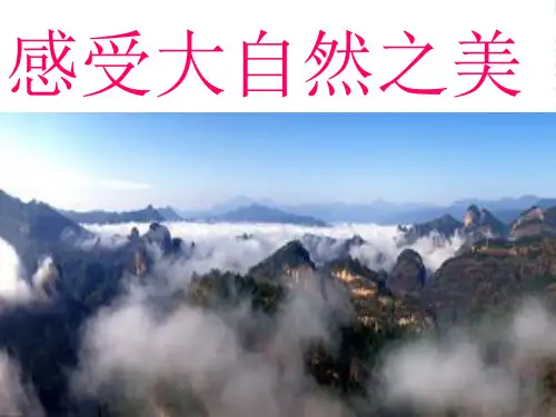 八年级政治下册 感受大自然课件 鲁教版