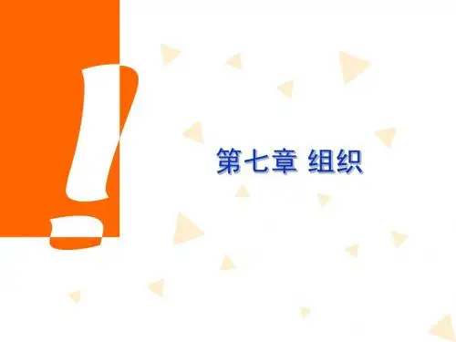 第七章 组织
