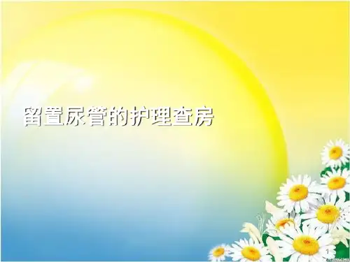 留置尿管护理查房ppt课件