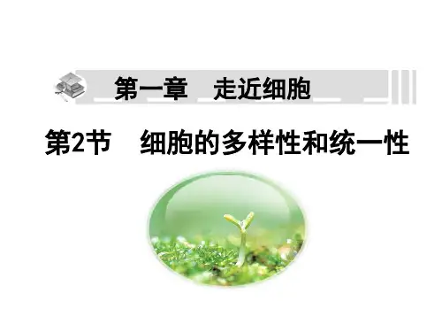 人教版高中生物必修一课件：1.2 细胞的多样性和统一性 (共45张PPT)