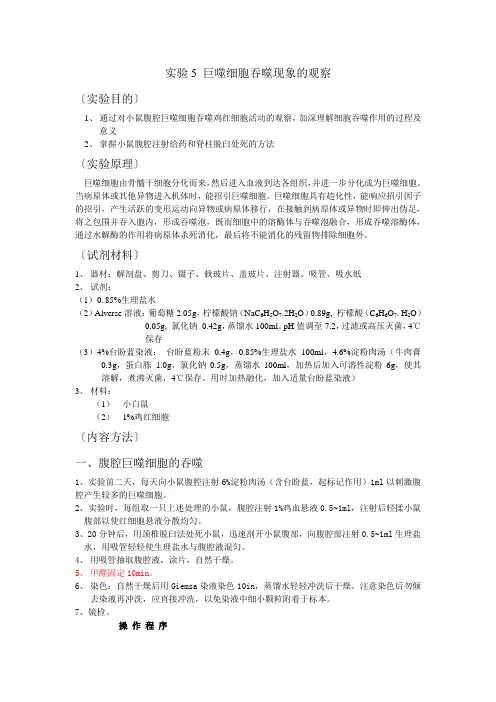 细胞生物学实验5 巨噬细胞吞噬现象的观察