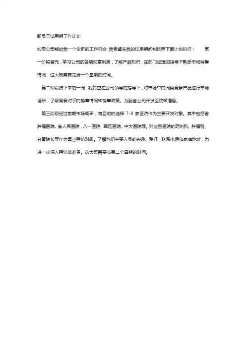 新员工工作计划
